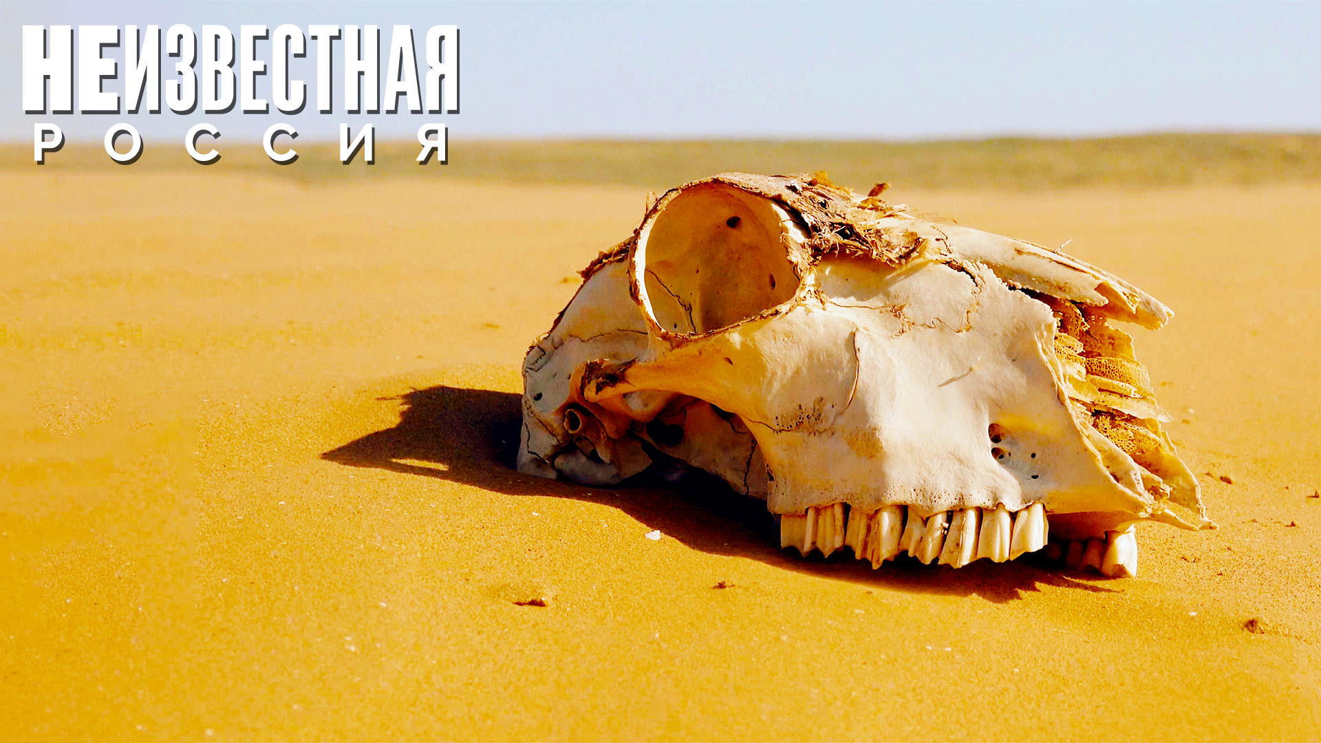 Current Time Thumbs 2